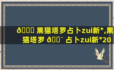 🕊 黑猫塔罗占卜zui
新*
,黑猫塔罗 🐴 占卜zui
新*
2023年